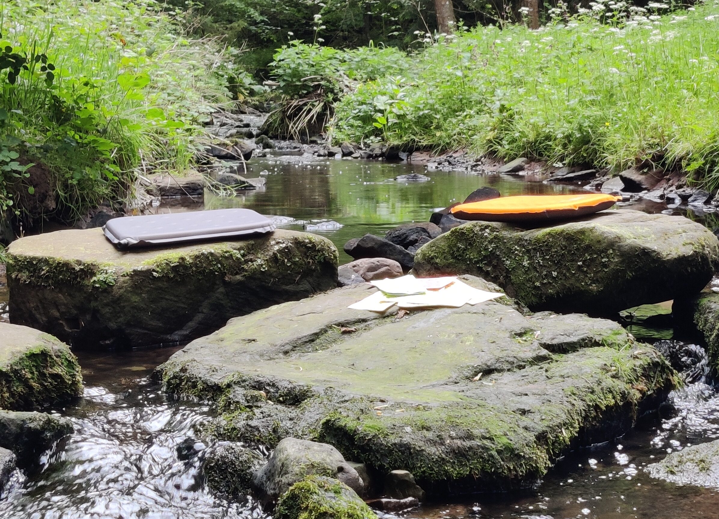 outdoor tean workshop at a river