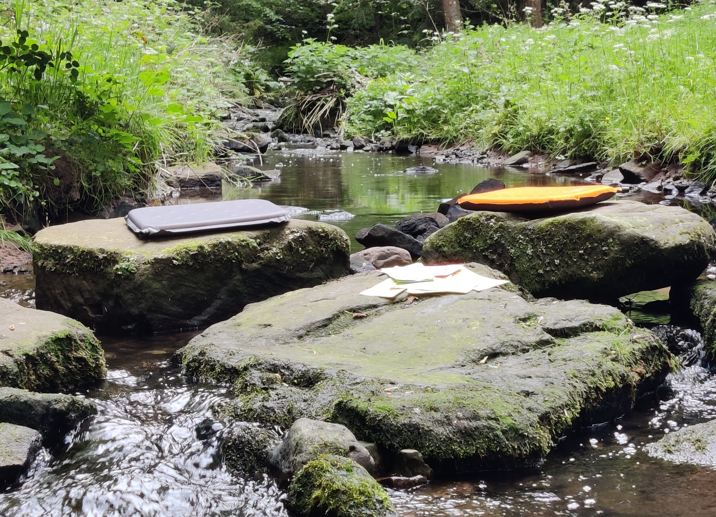 Workshop am Bach in der Natur