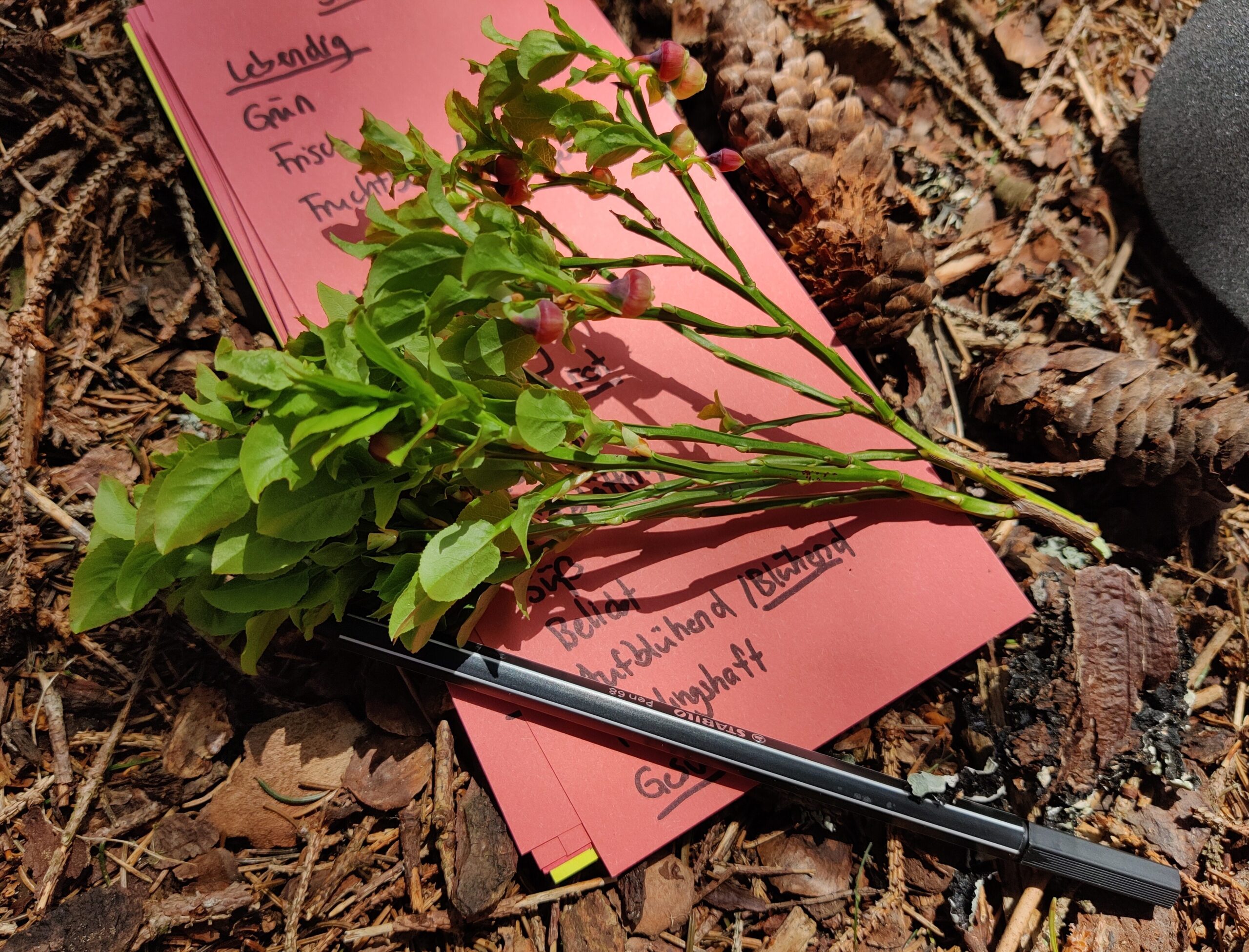 written associations during an outdoor team workshop