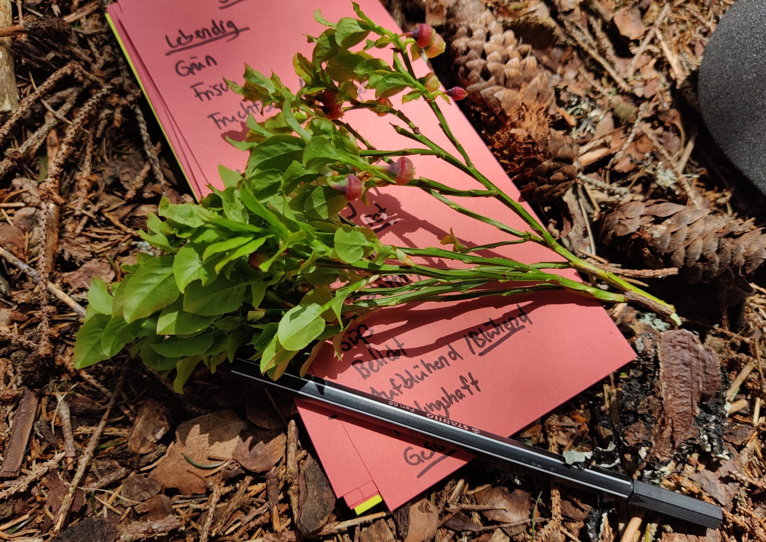 schriftliche Assoziationen während Workshop in der Natur